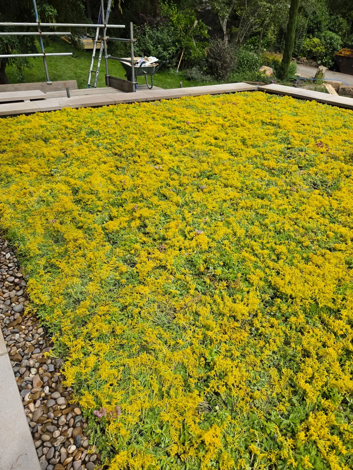 Site photo 6 of 6 from Sedum Green Roof, Sheffield