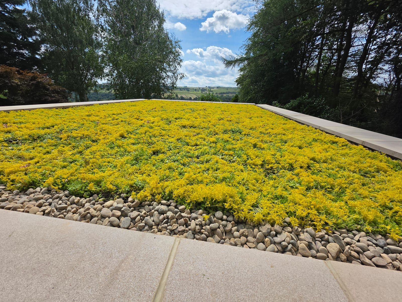 The same roof after installation, covered in flowering yellow sedum with countryside beyond