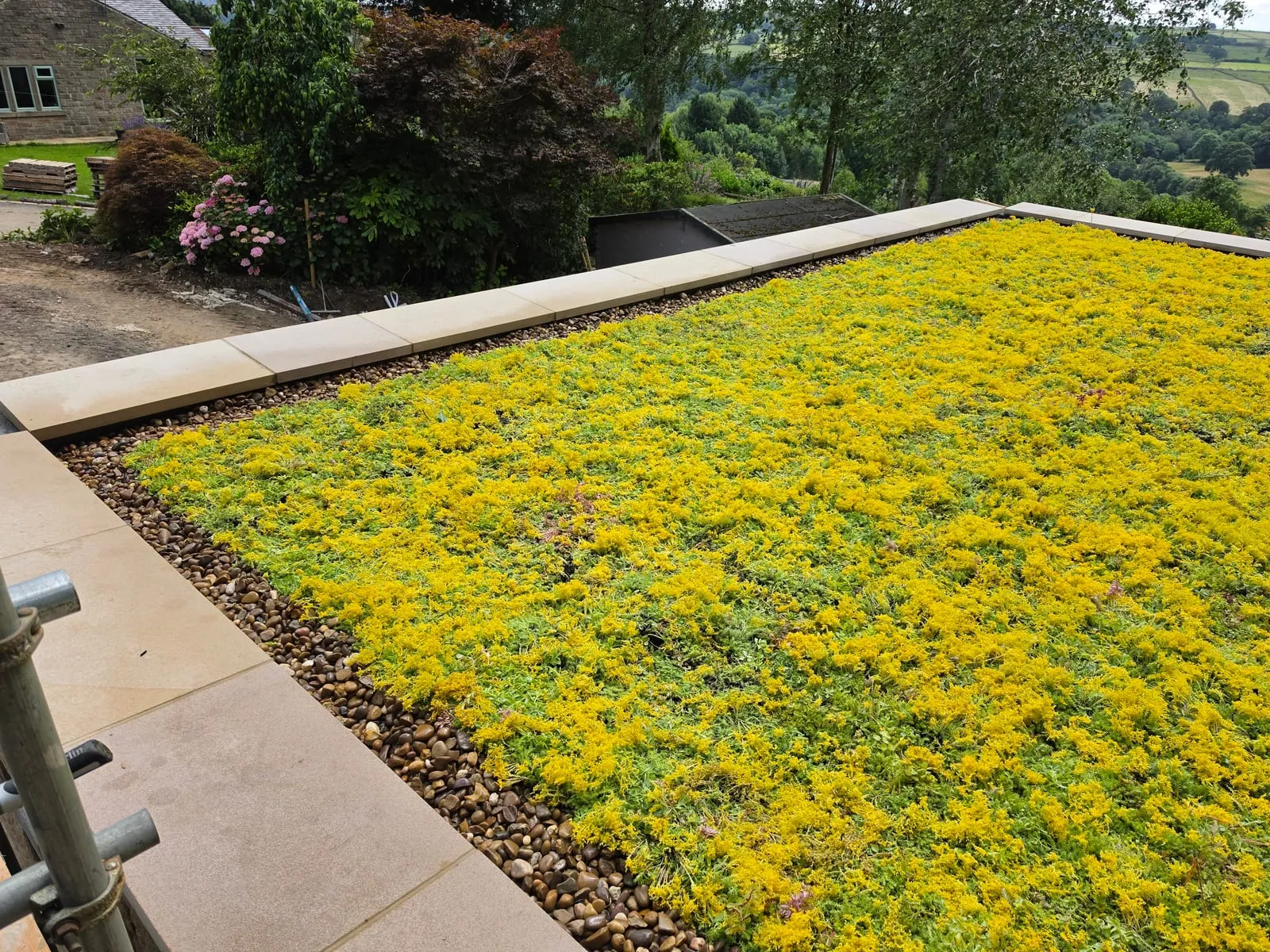 Sedum green roof in flower on a new stone garage in Sheffield