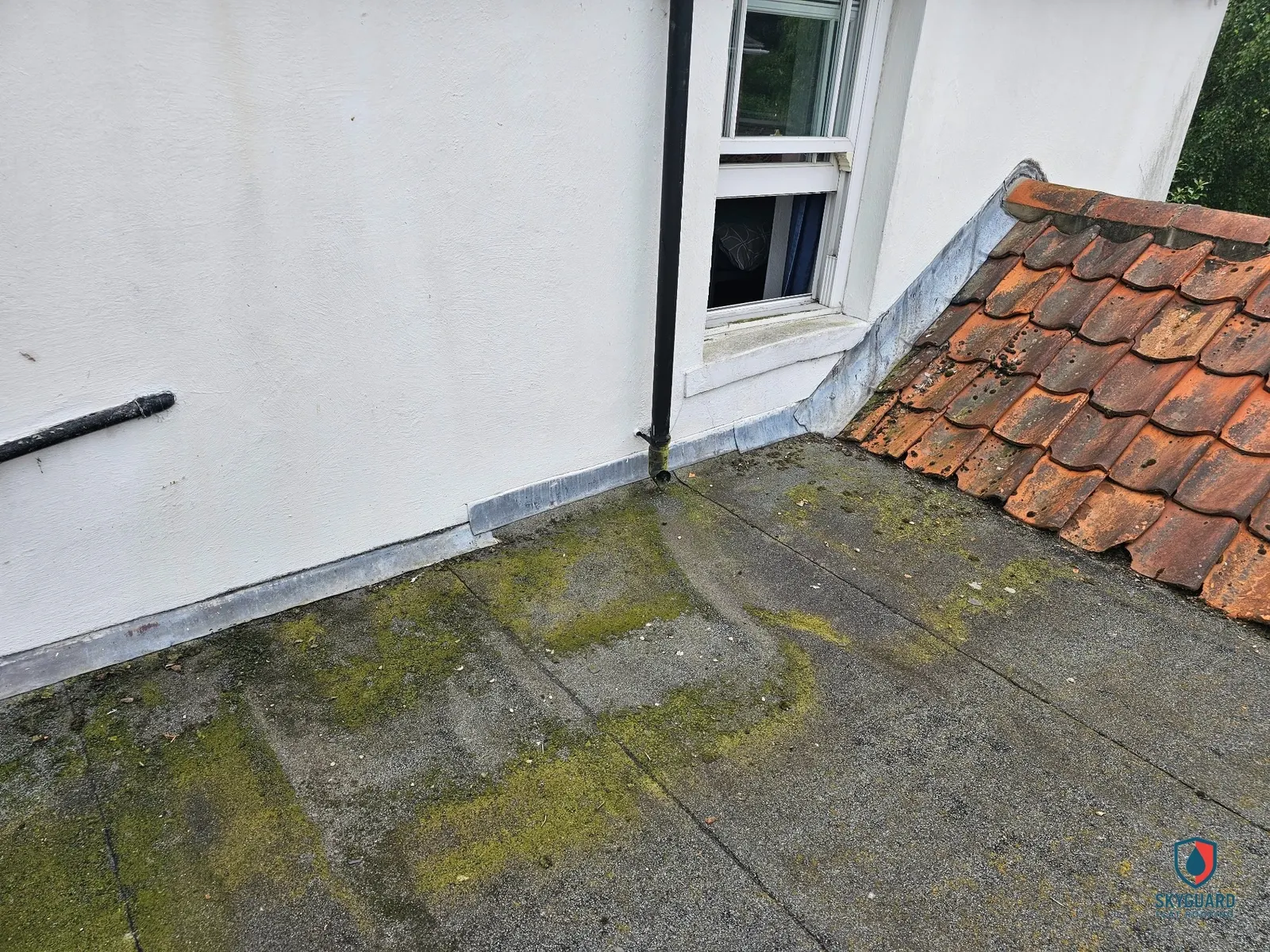 10 Common Flat Roof Problems and How to Fix Them