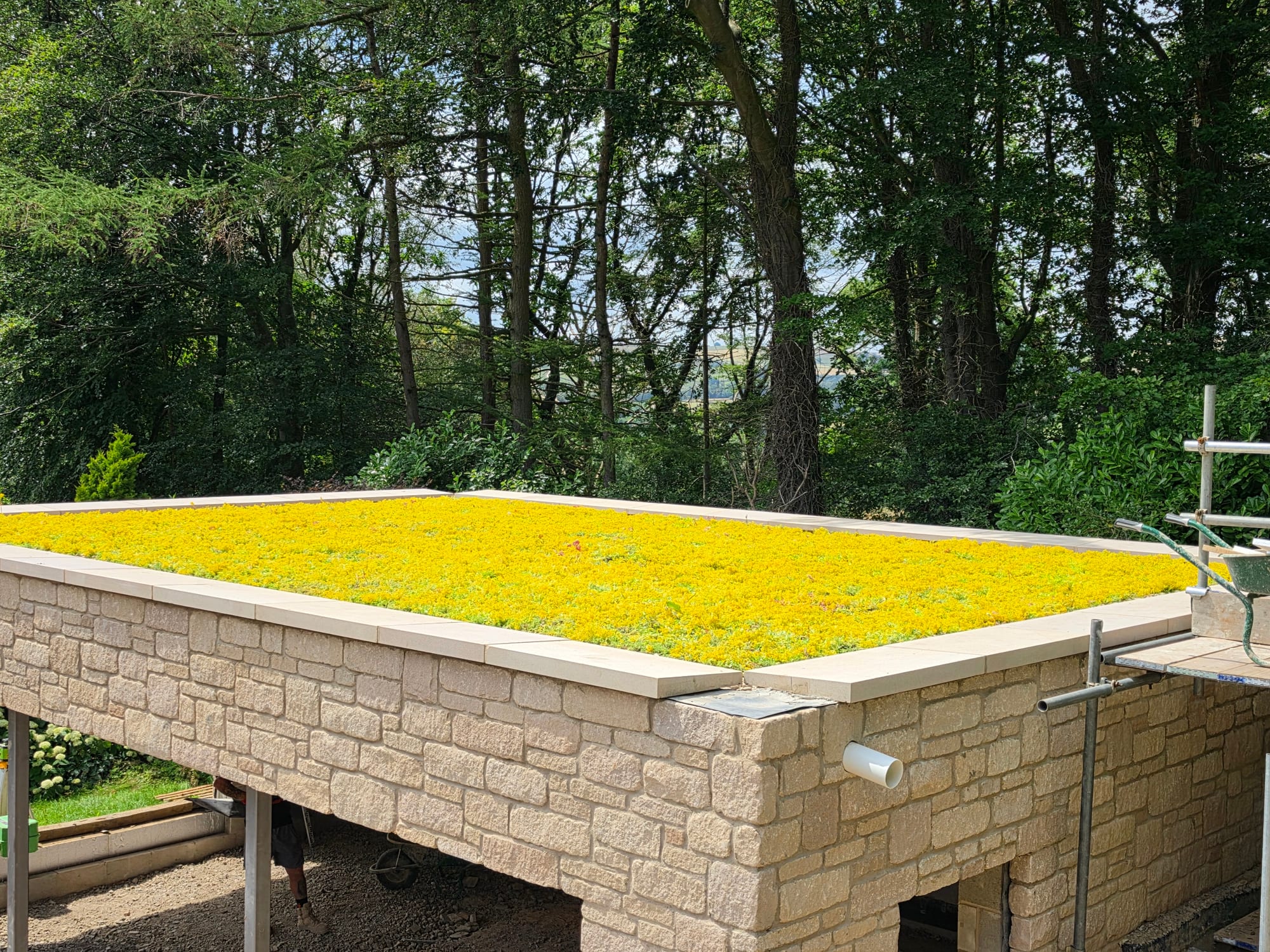 Sedum green roof in full yellow flower on a stone garage near Sheffield, with South Yorkshire countryside beyond