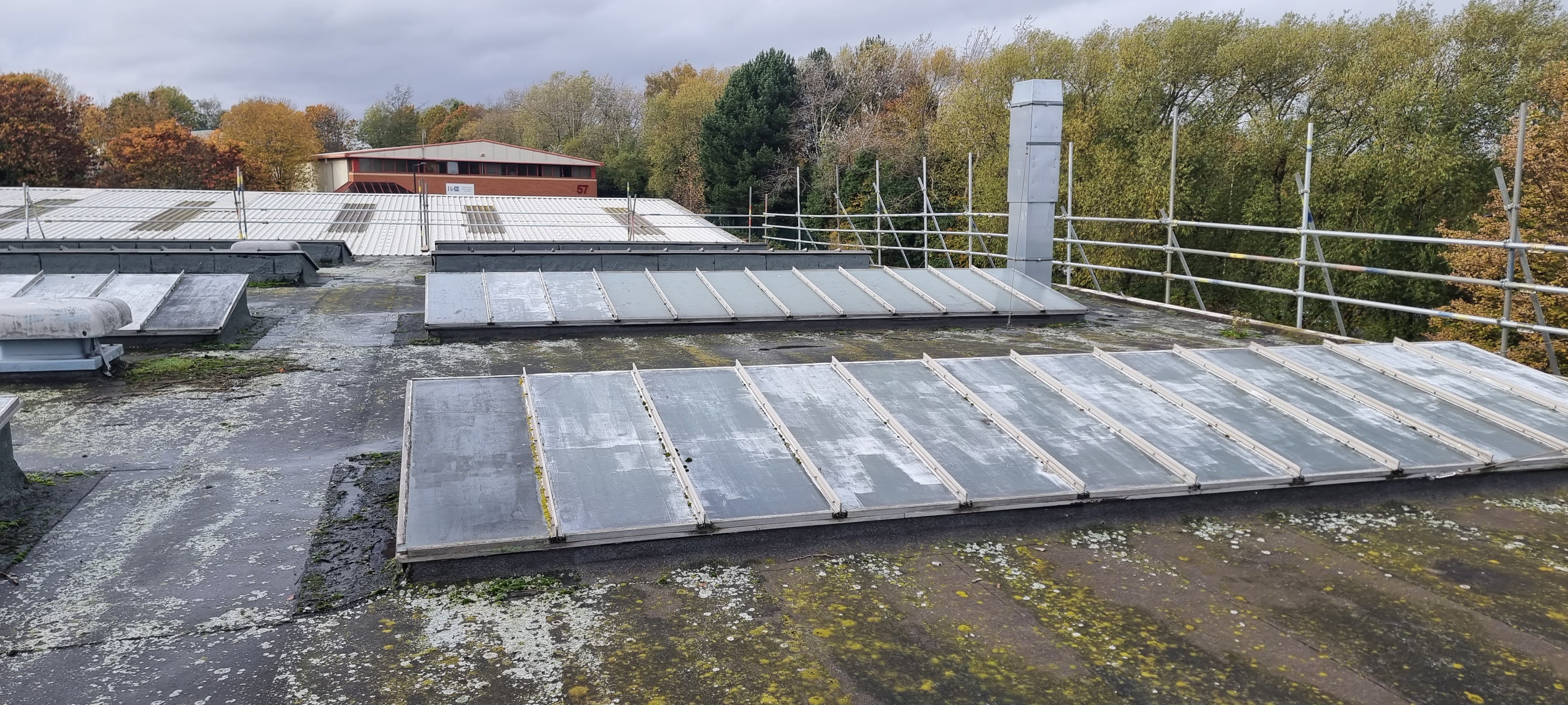 Why GRP is the cowboy roofer's favourite product (and why that matters)